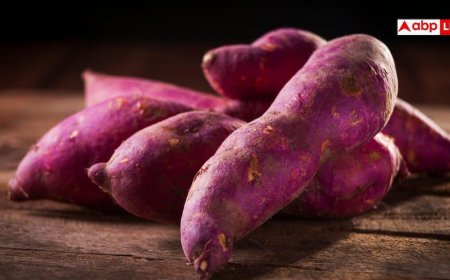 Sweet Potato Health Risk: क्या आप भी खा रहे केमिकल वाला शकरकंद? तुरंत छोड़ दें, वरना हो जाएगा कैंसर!