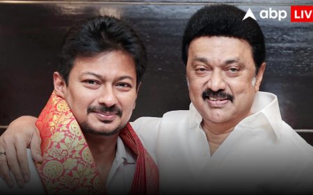 Udayanidhi Sstalin Hate Speech: सनातन धर्म वाले बयान पर उदयनिधि स्टालिन को मद्रास हाईकोर्ट की फटकार—'यह हेट स्पीच'