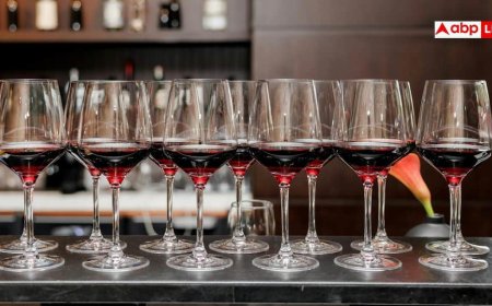 Trip Wine: गर्लफ्रेंड के साथ घूमने जा रहे हैं जरूर पिएं यह शराब, तुरंत बन जाएगा माहौल