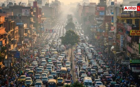 Air Pollution In India: वायु प्रदूषण से भारत में हर दिन 4657 मौतें, सामने आए डराने वाले आंकड़े