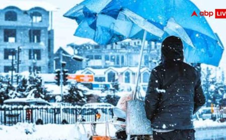 बिना फ्लाइट और बस के दिल्ली से कश्मीर की यात्रा अब और आसान, जानें सबसे सस्ता और सुरक्षित तरीका