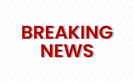 'भारत में दुनिया का तीसरा सबसे बड़ा...', 2026 के पहले 'मन की बात' कार्यक्रम में युवाओं को लेकर क्या बोले PM मोदी