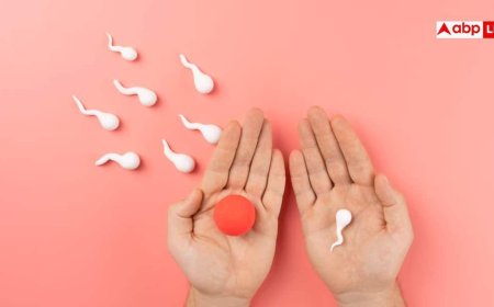 Fertility Signs: क्या आपका शरीर मां बनने के लिए तैयार है? हाई फर्टाइल महिलाओं में दिखते हैं ये पांच लक्षण