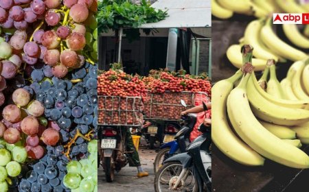 High Sugar Fruits: सावधान! हेल्दी समझकर ज्यादा न खाएं ये 9 फल, अचानक बढ़ा सकते हैं आपका ब्लड शुगर