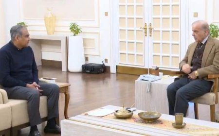 2026 टी20 वर्ल्ड कप पर पाकिस्तान ने लिया ये फैसला, प्रधानमंत्री से मिले PCB चीफ मोहसिन नकवी