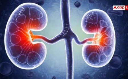 Kidney Disease: साइलेंट किलर है किडनी की बीमारी! शरीर के इन हिस्सों में दर्द हो सकता है खतरे का संकेत, न करें इग्नोर