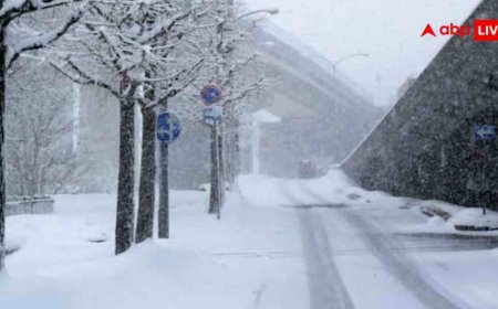 बर्फ में फंसे हैं तो भूलकर भी न करें ये काम, एक छोटी सी गलती से तबाह हो जाएगा परिवार