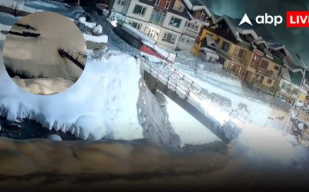 पहाड़ों पर न जाएं, आ रही बर्फीली तबाही! सफेद तूफान का ये वीडियो रोंगड़े खड़े कर देगा