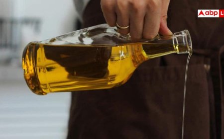 Best Oils For Indian Kitchen: रोज सब्जी बनाने के लिए कौन-सा तेल है हेल्दी ऑप्शन? महंगे ऑलिव ऑयल के ये हैं विकल्प