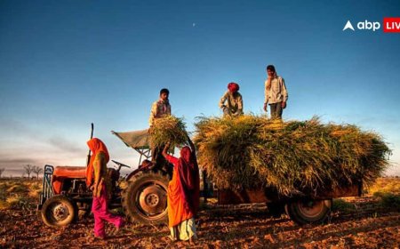 डील से बढ़कर देश के किसान, EU संग FTA में भारत ने डेयरी के अलावा और किन सेक्टर्स को रखा बाहर?