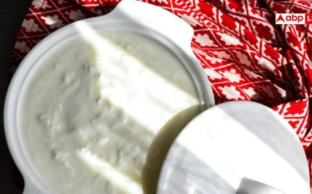 Curd Health Myths: सावधानी या सिर्फ गलतफहमी, दही से जुड़ी इन 7 बातों पर कहीं आप भी तो यकीन नहीं करते?