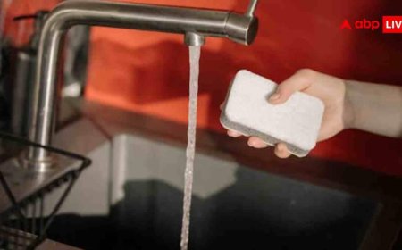 कितने दिन में बदल देना चाहिए बर्तन धोने वाला झाबा, जानें इससे किन बीमारियों का खतरा?