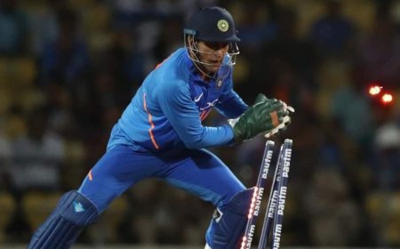 कितनी होती है क्रिकेट स्टंप्स की लंबाई और कीमत? आईसीसी ने कब दी थी एलईडी स्टंप्स को मंजूरी जानिए