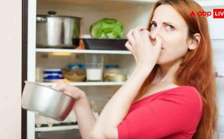 फ्रिज से आ रही है अजीब सी बदबू, इन चीजों को रखते ही हो जाएगी दूर