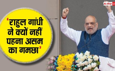 'राहुल ने असम का किया अपमान...', डिब्रूगढ़ में अमित शाह ने कांग्रेस पर साधा निशाना, चाय को लेकर कही बड़ी बात