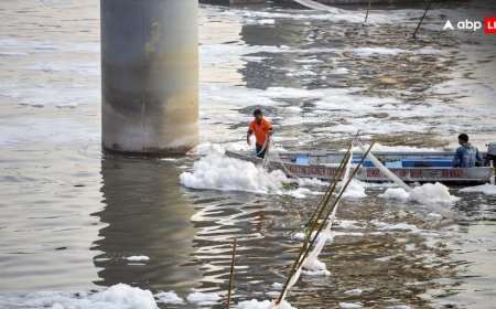 यमुना की सफाई पर अब तक कितने करोड़ रुपये हुए खर्च, सरकार ने संसद में बताया चौकाने वाला आंकड़ा