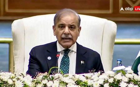 'भीख मांगते हुए शर्म से झुक जाता है सिर...' बातों-बातों में ये क्या कह गए शहबाज, खोल दी पाकिस्तान की पोल