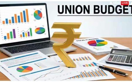 बजट 2026 से पहले जानिए, किन सेक्टरों पर पिछले साल बरसा था कुबेर का खजाना, इस बार क्या हैं उम्मीदें