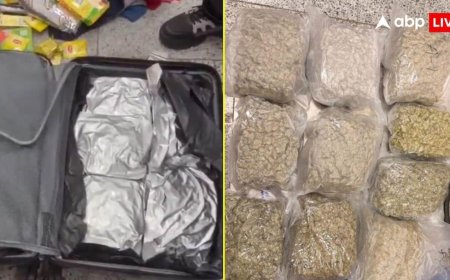 हैदराबाद एयरपोर्ट पर DRI का बड़ा एक्शन, 9.5 करोड़ का गांजा बरामद, कैसे मिली टिप?