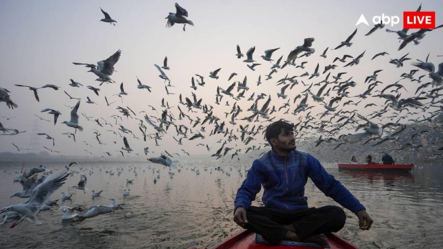 कहीं बारिश तो कहीं भयंकर ठंड, कश्मीर से लेकर केरल तक नए साल के पहले दिन देश में कैसा रहेगा मौसम?
