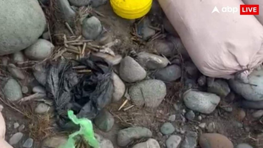 नए साल पर गंदी हरकत से बाज नहीं आया पाकिस्तान, ड्रोन से भारत में भेजा गोला-बारूद, अलर्ट पर एजेंसियां