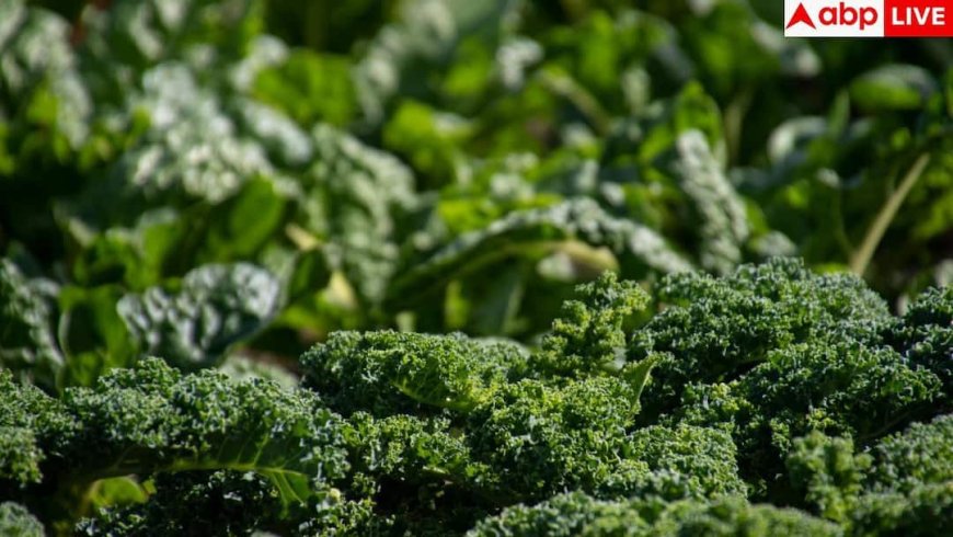 Raw Food Diet Benefits: कच्चे ही खाने चाहिए ये 9 फूड, गलती से भी पका लिए तो...