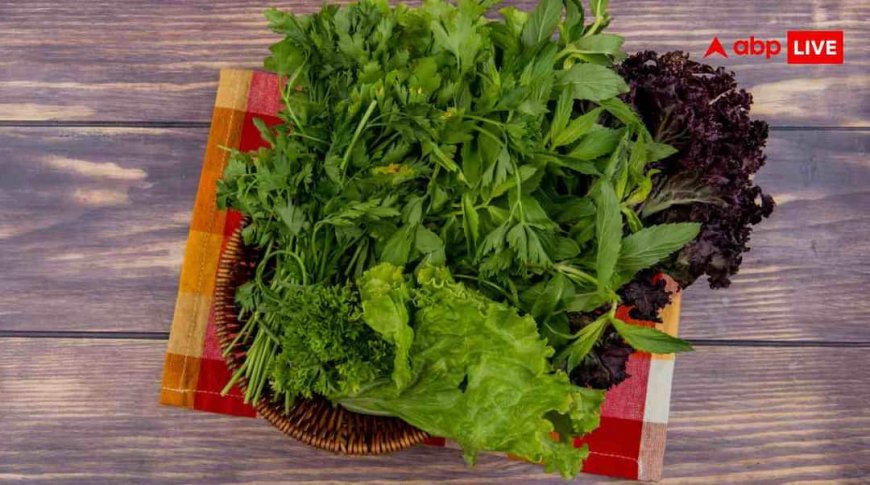 सर्दियों में खाएं ये 6 सुपर पावरफुल साग, फायदे जानकर रह जाएंगे हैरान