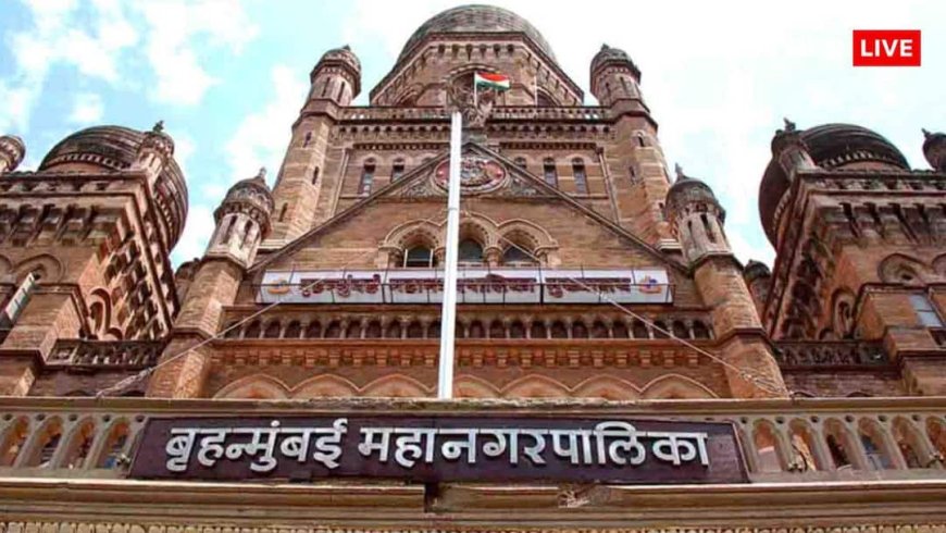 BMC चुनाव में मुस्लिम किसे देंगे वोट, PM मोदी का कितना असर, सर्वे में सामने आए चौंकाने वाले आंकड़े