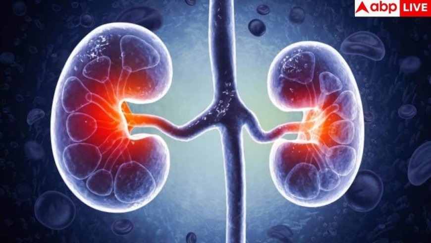 Kidney Damage Signs: हाथ-पैरों पर सबसे पहले दिखते हैं किडनी डैमेज के ये लक्षण, ये 5 साइन तो 99% कर देते हैं इग्नोर