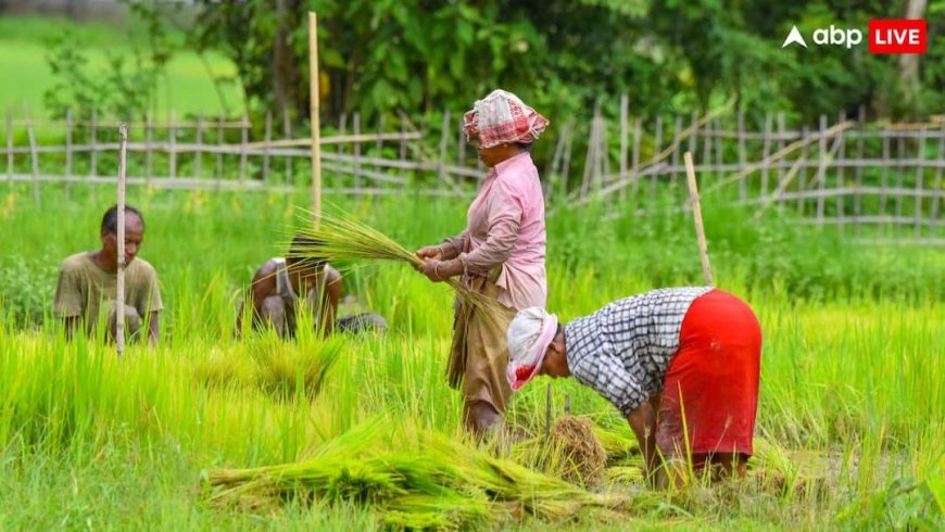 कब से किसानों को मिलेगा लगेगा KCC पर 5 लाख तक का लोन? बजट में वित्त मंत्री ने किया था ऐलान