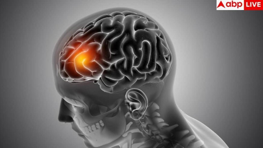 Stroke Symptoms: सुबह-सुबह दिखने लगे ये लक्षण तो समझ जाएं आने वाला है स्ट्रोक, गलती से भी मत कर देना इग्नोर