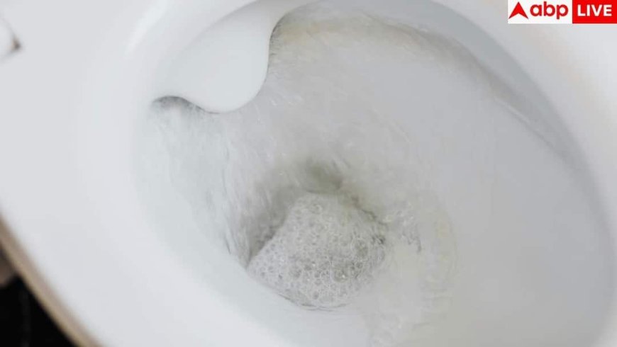 Toilet Flushing Hygiene: सावधान! टॉयलेट फ्लश करते समय खुली सीट बन सकती है बीमारियों की वजह, रिसर्च में हुआ बड़ा खुलासा