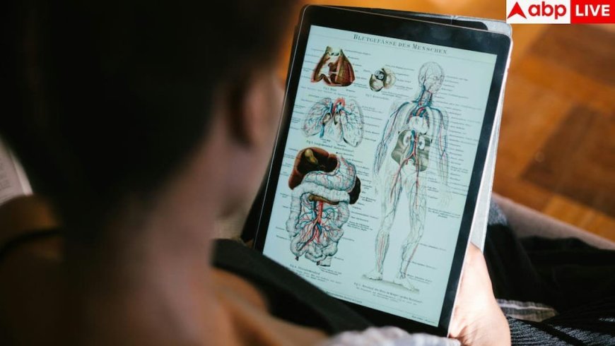 Immune System: इम्यूनिटी सिर्फ काढ़े में नहीं, आपके शरीर के इन 7 खास अंगों में होती है छिपी, जानें सारे फैक्ट