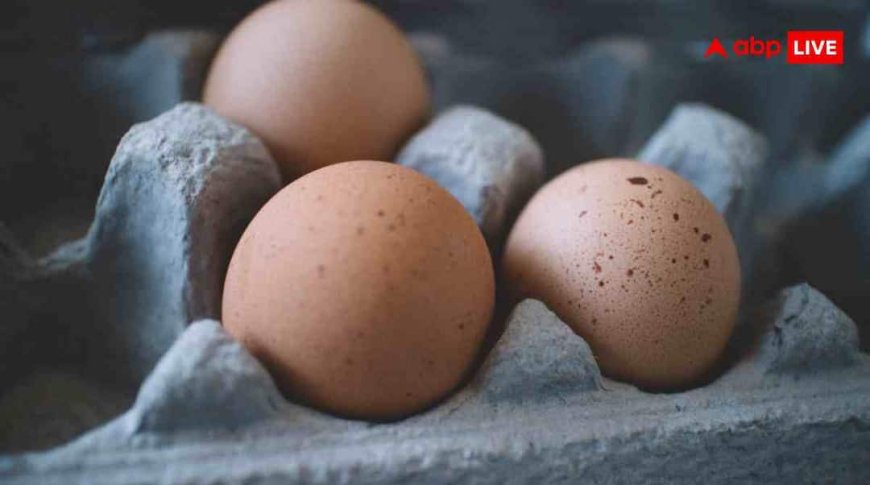 सर्दियों में उबले अंडे क्यों हैं हेल्थ का खजाना? जानें इनके चौंकाने वाले फायदे