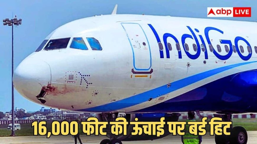 बेंगलुरु जा रही इंडिगो फ्लाइट से टकराया पक्षी, वाराणसी में इमरजेंसी लैंडिंग, 216 यात्री थे सवार