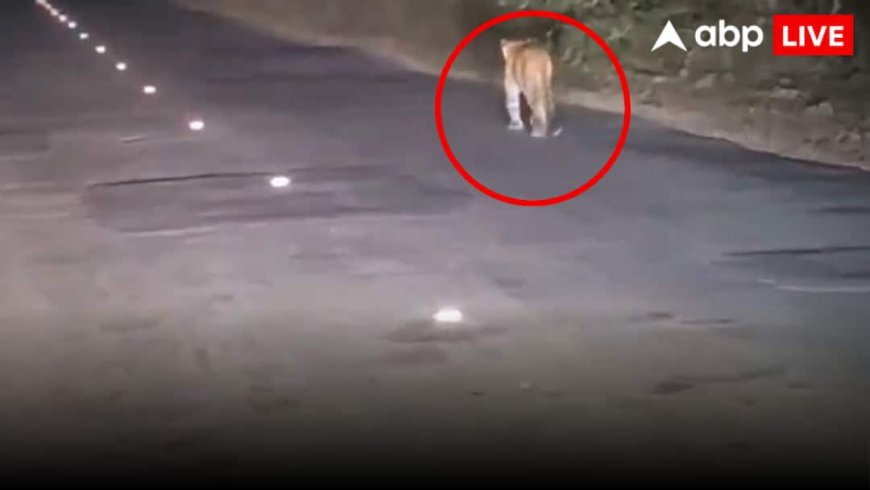 Telangana Leopard: तेलंगाना के कामारेड्डी में सड़क पर तेंदुआ! वायरल वीडियो ने बढ़ाई दहशत, वन विभाग ने जारी किया अलर्ट