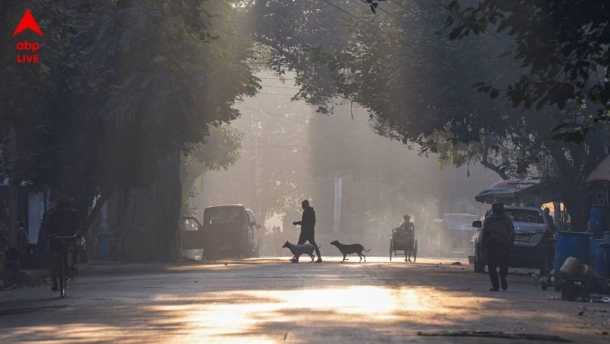 West Bengal: बंगाल में कम हो रही सर्दी! कुछ दिनों में 2-3 डिग्री बढ़ेगा तापमान, जानें मौसम विभाग ने क्या बताया