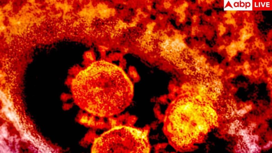 China Norovirus: कोरोना के बाद चीन में नई आफत, नोरोवायरस की चपेट में 103 बच्चे; जानें लक्षण और बचाव के तरीके