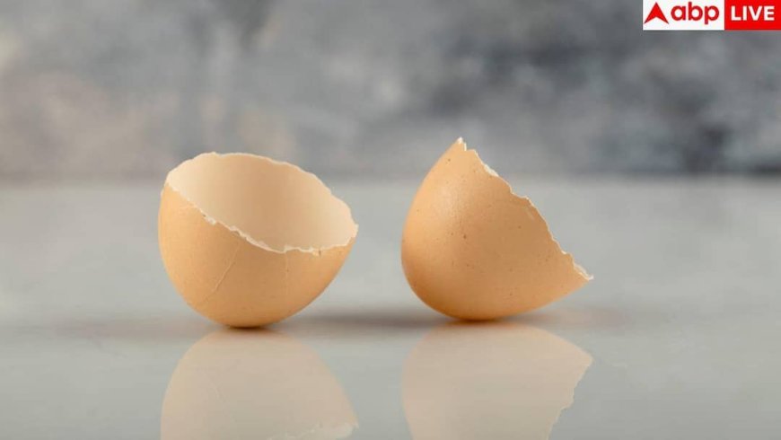Eggshell Calcium: सफेद-पीले के अलावा अंडे का यह हिस्सा भी होता है ताकतवर, हड्डियों को देता है भरपूर ताकत