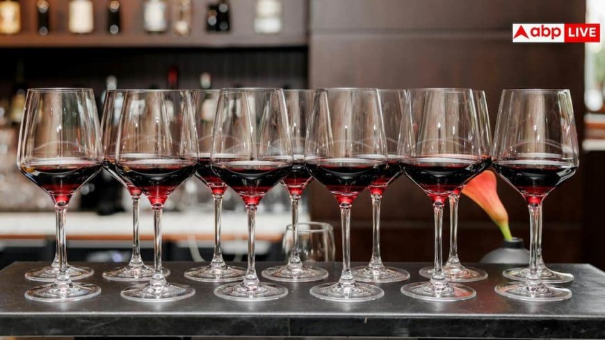 Trip Wine: गर्लफ्रेंड के साथ घूमने जा रहे हैं जरूर पिएं यह शराब, तुरंत बन जाएगा माहौल