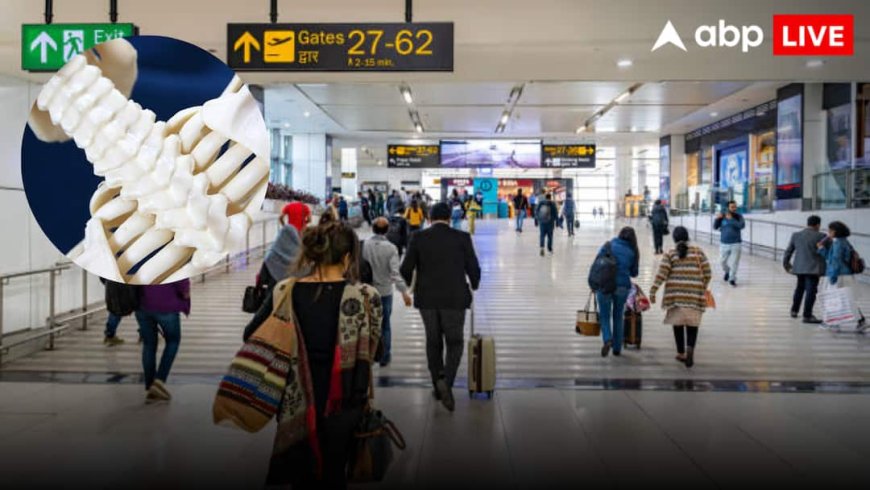 Delhi Airport: दिल्ली एयरपोर्ट T3 पर मानव कंकाल मिलने से मचा हड़कंप, फॉरेंसिक जांच में निकला मेडिकल डेमो स्केलेटन