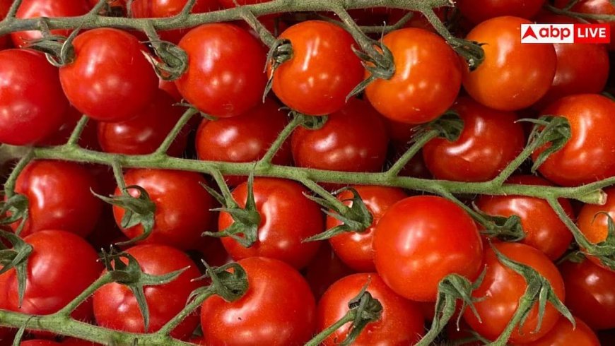 Raw Tomato Benefits: इम्युनिटी से लेकर वेट लॉस तक...कच्चा टमाटर खाने के ये 10 फायदे जानकर आप भी हो जाएंगे हैरान