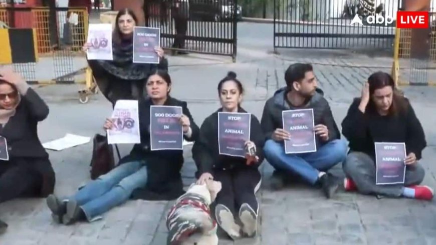 'हजारों कुत्तों, बंदरों की हत्या' पर दिल्ली में तेलंगाना भवन के सामने हंगामा, कार्यकर्ताओं ने सरकार को दी चेतावनी