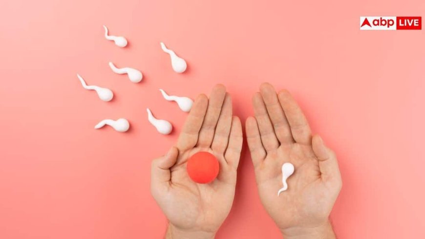 Fertility Signs: क्या आपका शरीर मां बनने के लिए तैयार है? हाई फर्टाइल महिलाओं में दिखते हैं ये पांच लक्षण
