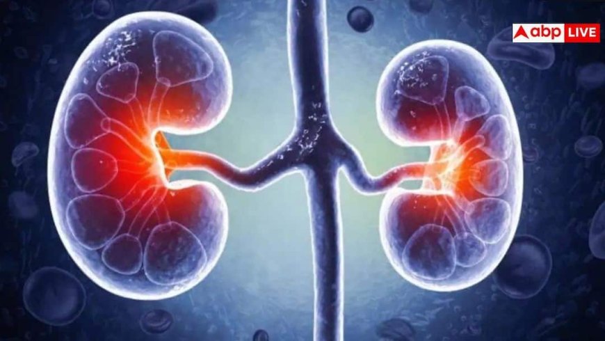 Kidney Disease: साइलेंट किलर है किडनी की बीमारी! शरीर के इन हिस्सों में दर्द हो सकता है खतरे का संकेत, न करें इग्नोर