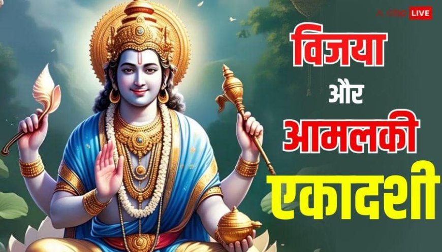 February Ekadashi 2026: फरवरी में विजया और आमलकी एकादशी कब-कब, नोट करें डेट, मुहूर्त