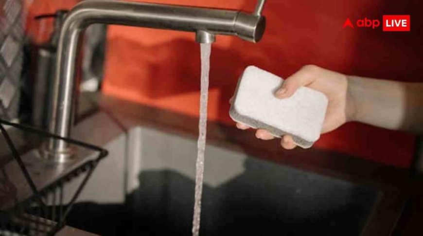कितने दिन में बदल देना चाहिए बर्तन धोने वाला झाबा, जानें इससे किन बीमारियों का खतरा?