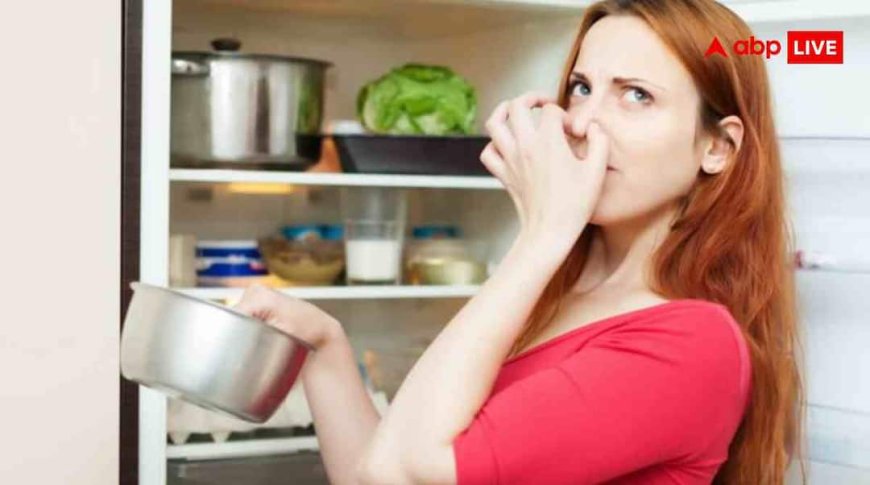फ्रिज से आ रही है अजीब सी बदबू, इन चीजों को रखते ही हो जाएगी दूर
