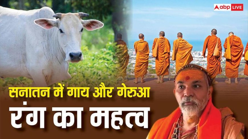 Avimukteshwaranand: अविमुक्तेश्वरानंद ने गाय और गेरुआ पर कह दी अब तक की सबसे बड़ी बात!