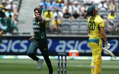पाकिस्तान ने फिर ऑस्ट्रेलिया को रौंदा, इस बार 90 रनों से जीता मैच; टी20 वर्ल्ड कप से पहले जीत ली सीरीज